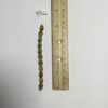 Vintage German Glass Oval Beads - 22 Pieces - Image 3