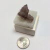 Spirit Quartz Specimen - 1 piece