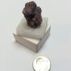 Spirit Quartz Specimen - 1 piece