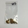 Gold Plated Pewter Frog Prince Charms - 8 Pieces - Image 3