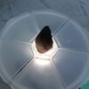 Saffordite centimani stone - Animas - pocket stone metaphysical gem stone rough - Image 3