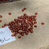 Japanese 11/0 Seed beads in gold lined rust color - 17 grams