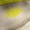 Japanese 11/0 Seed beads in frosted silver lined yellow color - 17 Grams