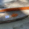Japanese 11/0 seed beads in silver lined orange color  - 17 grams - Image 2