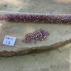 Japanese 11/0 seed beads in Silver Lined Lilac color - 17 Grams - Image 2