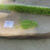 Japanese 11 seed beads in silver lined lime green color - 17 grams - Image 2