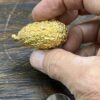 Vintage gold plated with rhinestones pillbox - Image 2