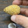 Vintage gold plated with rhinestones pillbox - Image 3