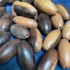 Ironwood Beads- 100 pieces - Image 2